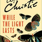 While The Light Lasts