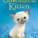 Sky the unwanted Kitten
