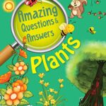 Amazing Questions & Answers - Plants