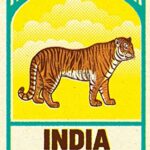 India: An Introduction