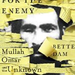 Looking for the enemy