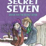 Shock for the Secret Seven