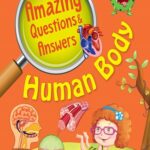 Amazing Questions & Answers Human Body