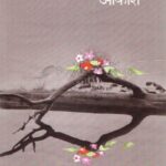 Jivache Akash  (जिवाचे आकाश)