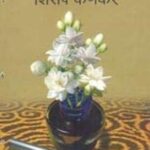 Motiya  (मोतीया)