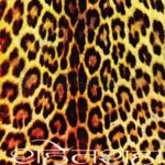 Shehenshah  (शहेनशाह)