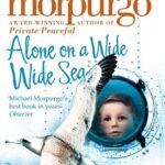 Alone on a Wide Wide Sea