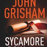 Sycamore Row: The Sequel to a Time to Kill