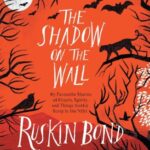 The Shadow on the wall