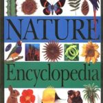DK Nature Encyclopedia