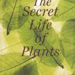 The Secret Life of Plants