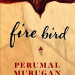 Fire Bird