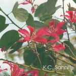 The Book of Indian Trees