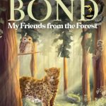 My Friends from the Forest