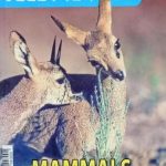 Tell Me Why - Mammals