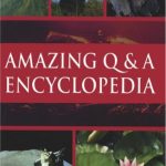 Amazing Q & A Encyclopedia