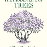 The Hidden Life of Trees