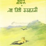 Wagharu Tya Tithe Rukhatali (वाघरू त्या तिथे रुखातळी)