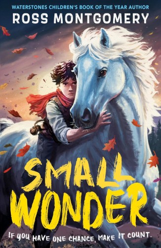 smallwonder Small Wonder - Image 1