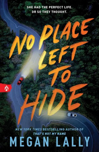 noplace No Place Left to Hide - Image 1